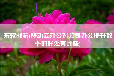 东软邮箱(移动云办公对公司办公提升效率的好处有哪些)