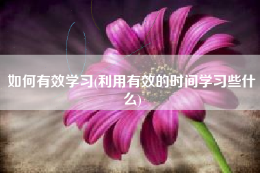 如何有效学习(利用有效的时间学习些什么)