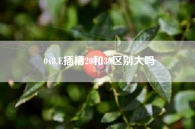 0x8,E插槽20和30区别大吗
