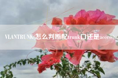 VLANTRUNK(怎么判断配trunk口还是access)