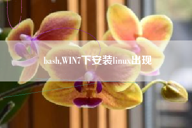bash,WIN7下安装linux出现