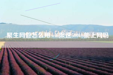 聚生网管怎么用,wifi限速500kb能上网吗