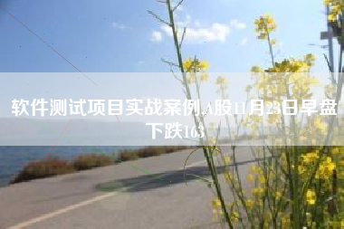 软件测试项目实战案例,A股11月23日早盘下跌163