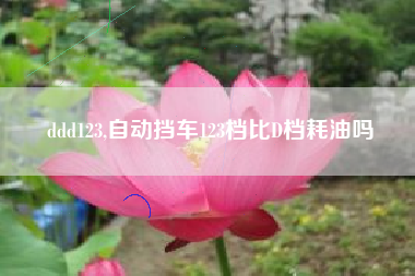 ddd123,自动挡车123档比D档耗油吗