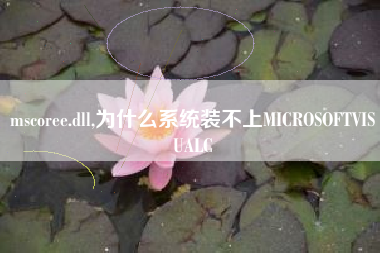 mscoree.dll,为什么系统装不上MICROSOFTVISUALC