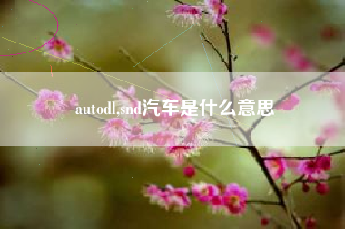 autodl,snd汽车是什么意思