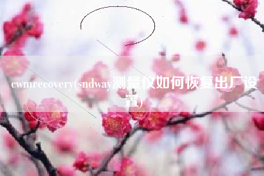cwmrecovery(sndway测量仪如何恢复出厂设置)