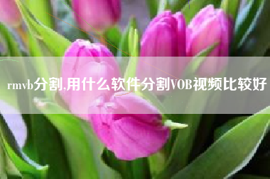 rmvb分割,用什么软件分割VOB视频比较好