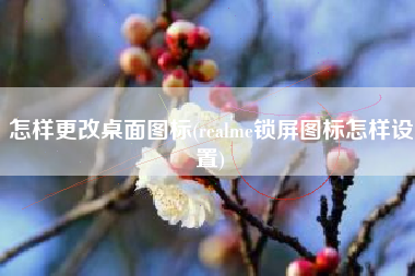 怎样更改桌面图标(realme锁屏图标怎样设置)