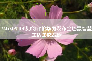 AMAZON IOT,如何评价华为发布全场景智慧生活生态战略