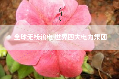 全球无线输电,世界四大电力集团