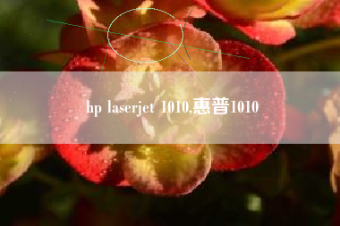 hp laserjet 1010,惠普1010