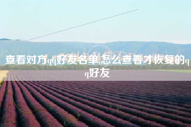 查看对方qq好友名单,怎么查看才恢复的qq好友