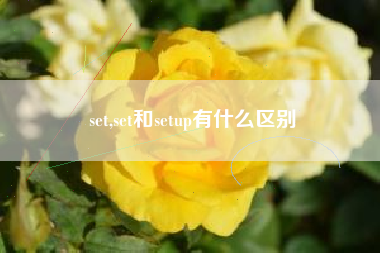 set,set和setup有什么区别