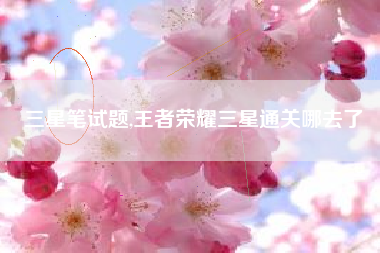 三星笔试题,王者荣耀三星通关哪去了