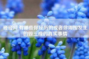 碰碰网,有哪些你经历的或者你周围发生的毁三观的真实事情