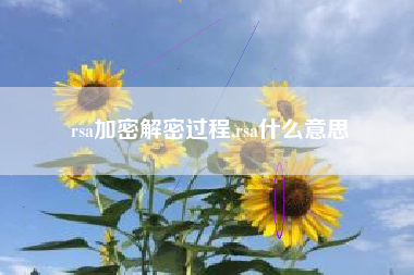 rsa加密解密过程,rsa什么意思