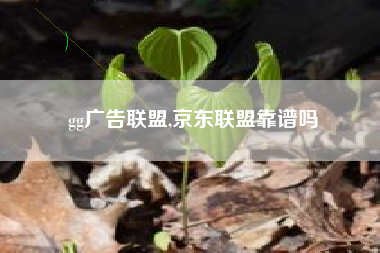 gg广告联盟,京东联盟靠谱吗