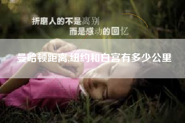 曼哈顿距离,纽约和白宫有多少公里
