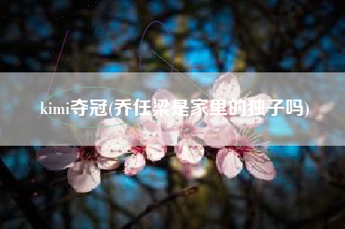 kimi夺冠(乔任梁是家里的独子吗)