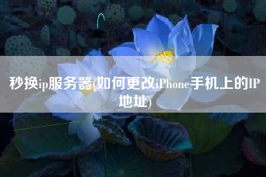 秒换ip服务器(如何更改iPhone手机上的IP地址)