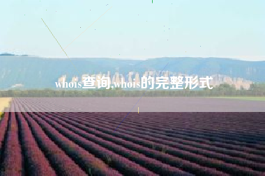 whois查询,whois的完整形式