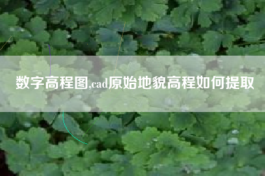 数字高程图,cad原始地貌高程如何提取
