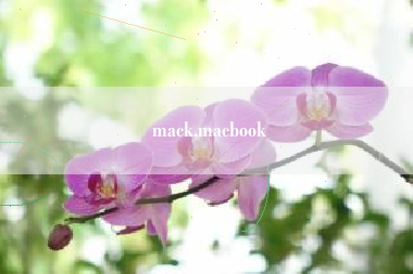 mack,macbook