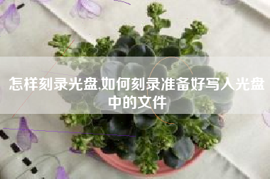 怎样刻录光盘,如何刻录准备好写入光盘中的文件