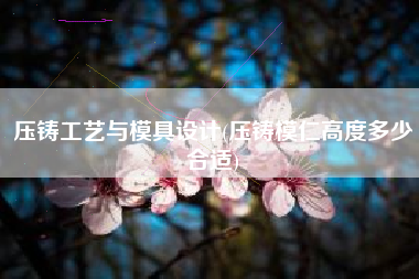 压铸工艺与模具设计(压铸模仁高度多少合适)