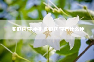 虚拟内存,手机虚拟内存有什么用