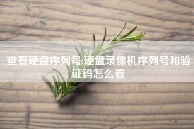 查看硬盘序列号,硬盘录像机序列号和验证码怎么看