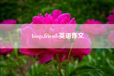bings,friends英语作文