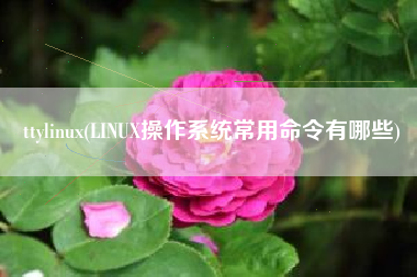 ttylinux(LINUX操作系统常用命令有哪些)