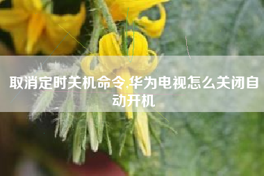 取消定时关机命令,华为电视怎么关闭自动开机