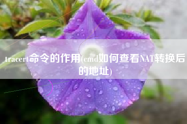 tracert命令的作用(cmd如何查看NAT转换后的地址)
