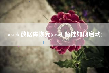 oracle数据库恢复(oracle暂挂如何启动)