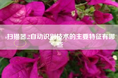 s扫描器,2自动识别技术的主要特征有哪些