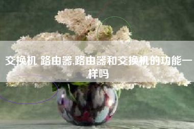 交换机 路由器,路由器和交换机的功能一样吗