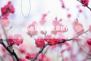 ipad点菜,电脑点菜软件