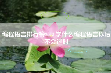 编程语言排行榜2013,学什么编程语言以后不会过时
