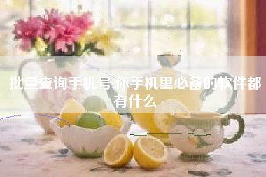 批量查询手机号,你手机里必备的软件都有什么