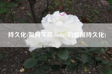 持久化(如何实现docker的数据持久化)