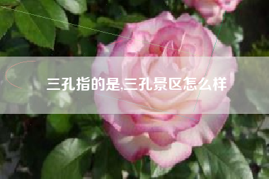 三孔指的是,三孔景区怎么样