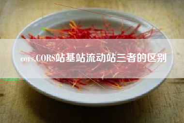 cors,CORS站基站流动站三者的区别
