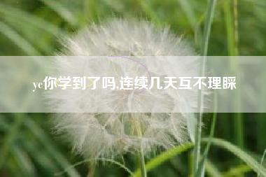 yc你学到了吗,连续几天互不理睬
