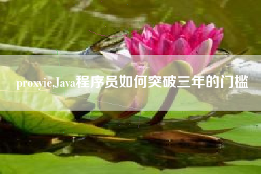 proxyie,Java程序员如何突破三年的门槛