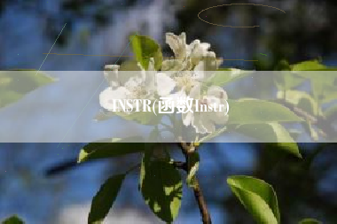 INSTR(函数Instr)