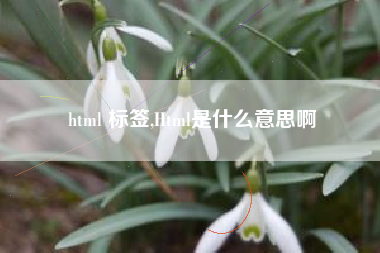 html 标签,Html是什么意思啊