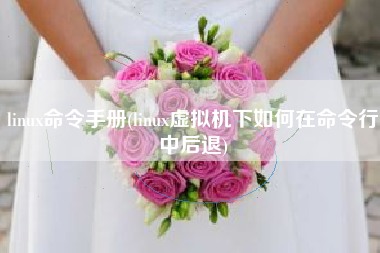 linux命令手册(linux虚拟机下如何在命令行中后退)